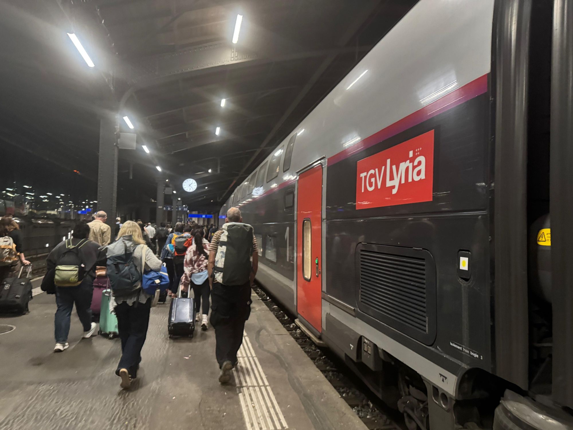 Paris-Zurich Train Journey Ruined by Fires, Wild boars, and Track Damage