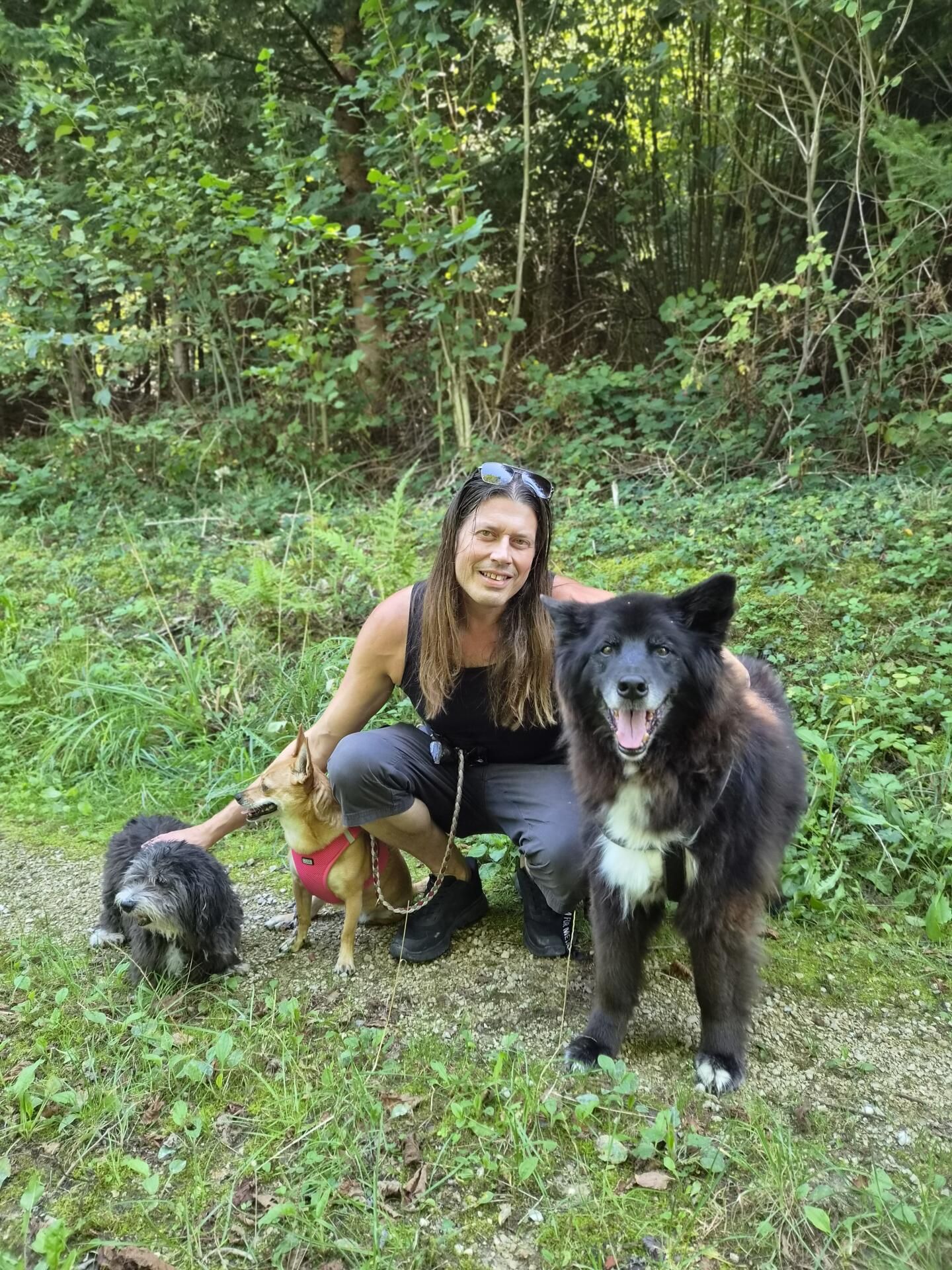Shakra: Mark Fox über seine Hunde, Familie und Tournee