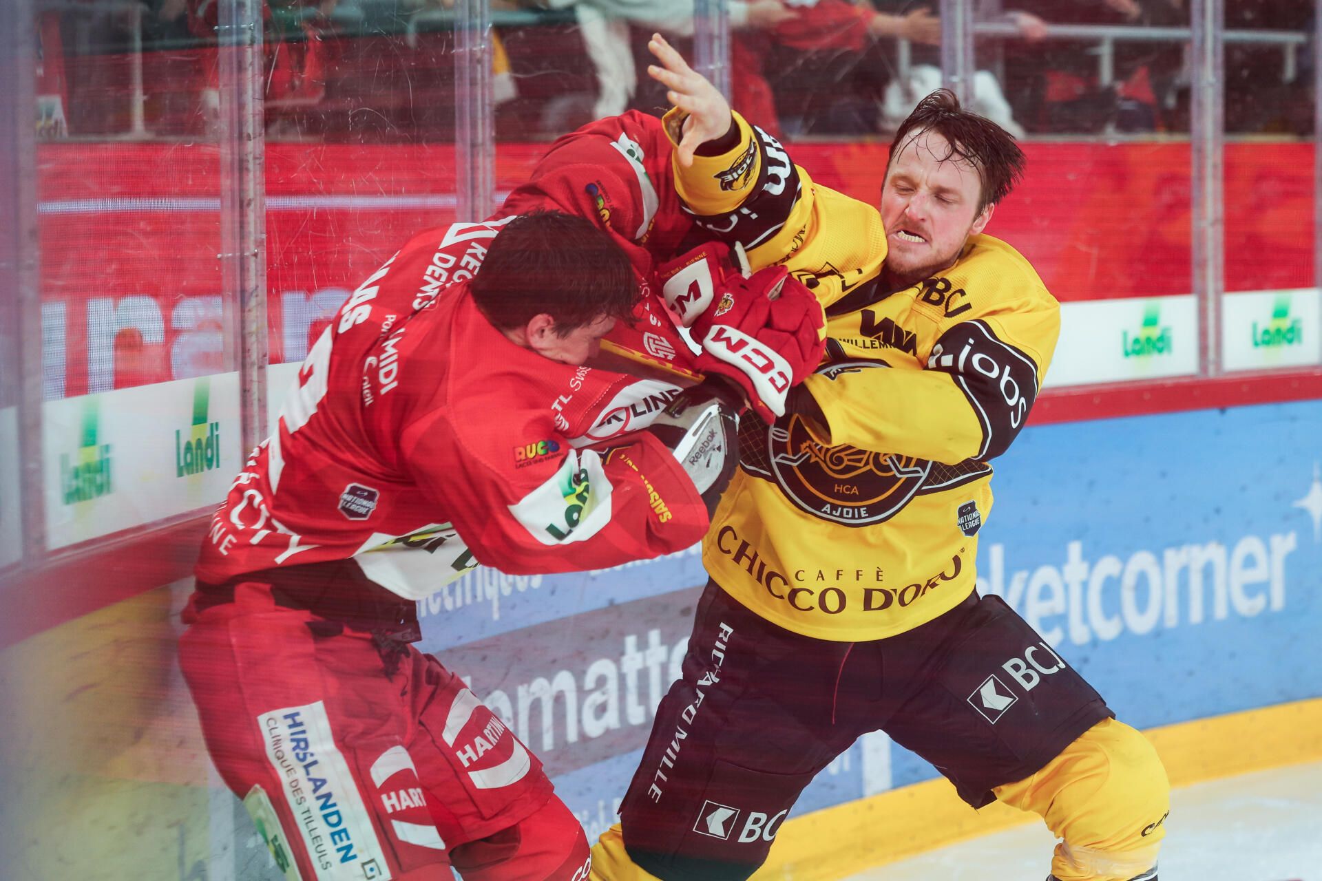 Primitive Attacke: Carr schlägt wehrlosen Biel-Captain Haas groggy